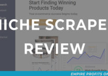 Niche Scraper Review: Best Low Budget Tool